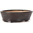 Oval brown bonsai pot by Seto - 100 x 80 x 30 mm