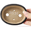 Pot à bonsaï ovale marron par Seto - 100 x 80 x 30 mm