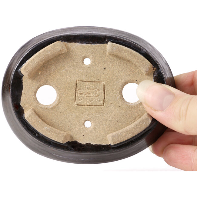 Pot à bonsaï ovale marron par Seto - 100 x 80 x 30 mm