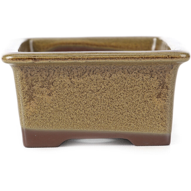 Vaso bonsai marrone rettangolare di Seto Yaki - 114 x 86 x 43 mm