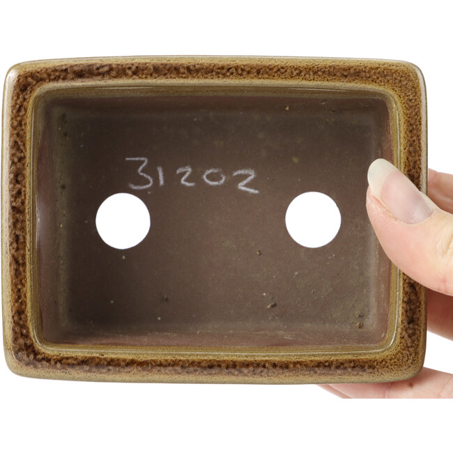 Pot à bonsaï rectangulaire marron par Seto Yaki - 114 x 86 x 43 mm