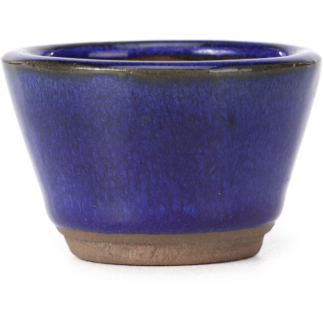 Runde blaue Bonsaischale - 60 x 60 x 40 mm