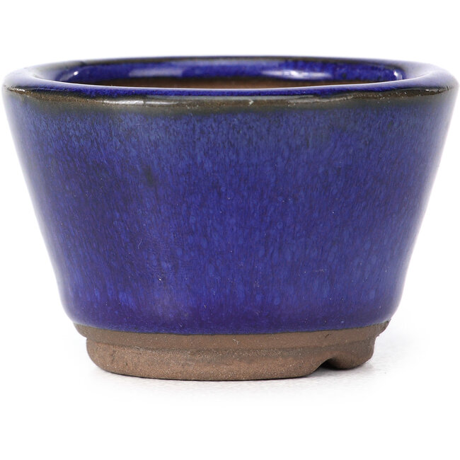 Pot à bonsaï rond bleu - 60 x 60 x 40 mm