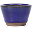 Runde blaue Bonsaischale - 60 x 60 x 40 mm