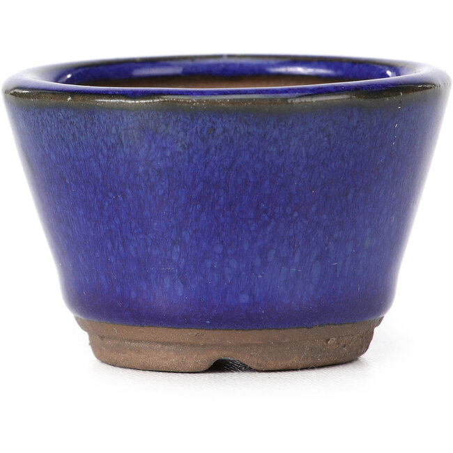 Maceta de bonsái redonda azul - 60 x 60 x 40 mm
