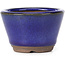 Runde blaue Bonsaischale - 60 x 60 x 40 mm