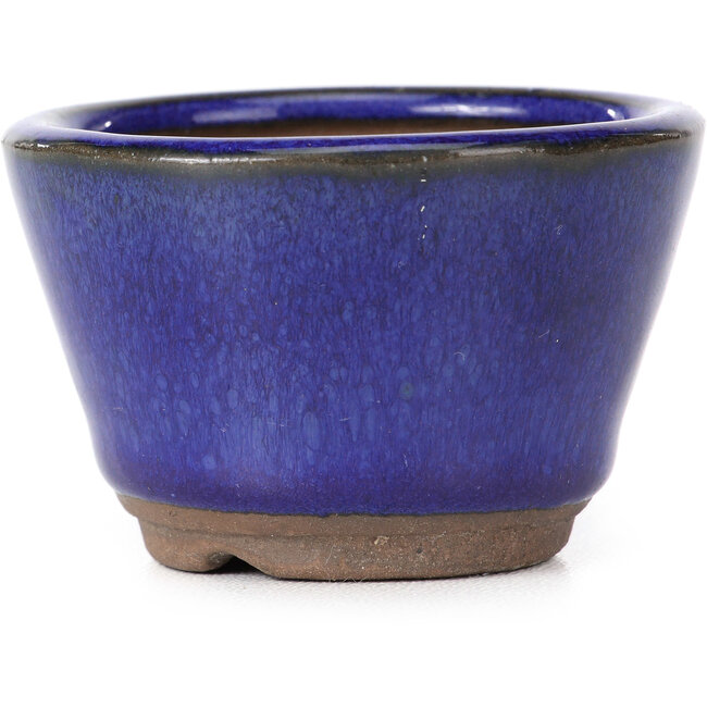 Maceta de bonsái redonda azul - 60 x 60 x 40 mm