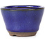 Runde blaue Bonsaischale - 60 x 60 x 40 mm