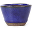 Runde blaue Bonsaischale - 60 x 60 x 40 mm