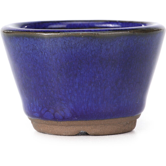 Ronde blauwe bonsaipot - 60 x 60 x 40 mm
