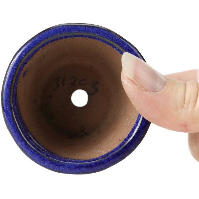 Runde blaue Bonsaischale - 60 x 60 x 40 mm
