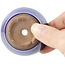 Runde blaue Bonsaischale - 60 x 60 x 40 mm