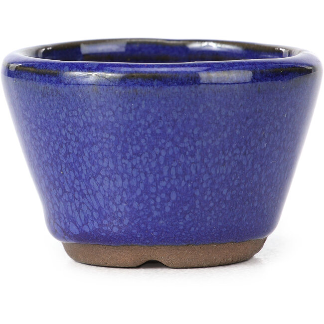 Vaso bonsai rotondo blu - 62 x 62 x 40 mm