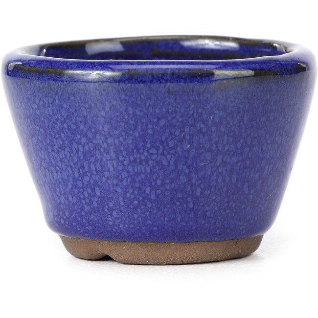 Vaso bonsai rotondo blu - 62 x 62 x 40 mm