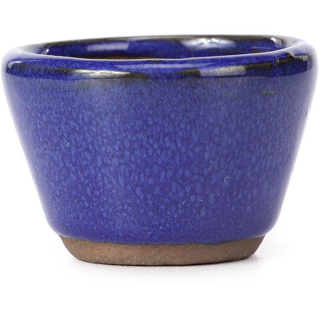 Pot à bonsaï rond bleu - 62 x 62 x 40 mm