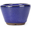 Pot à bonsaï rond bleu - 62 x 62 x 40 mm