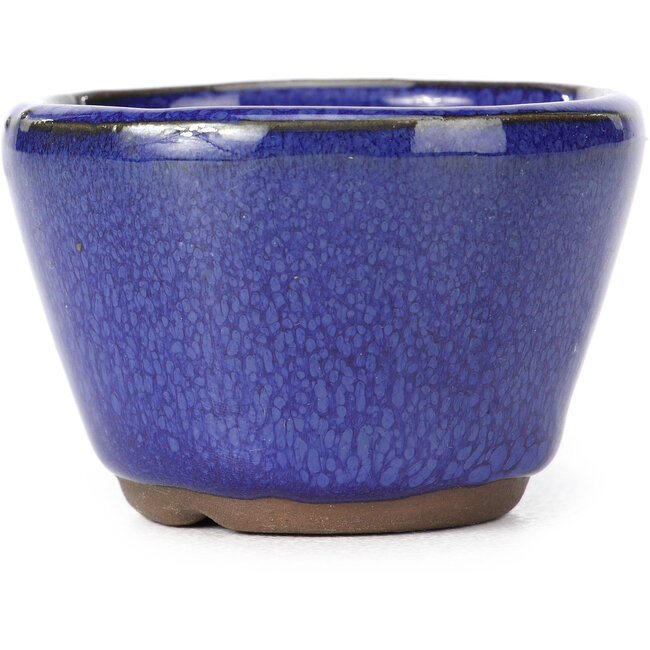 Ronde blauwe bonsaipot - 62 x 62 x 40 mm