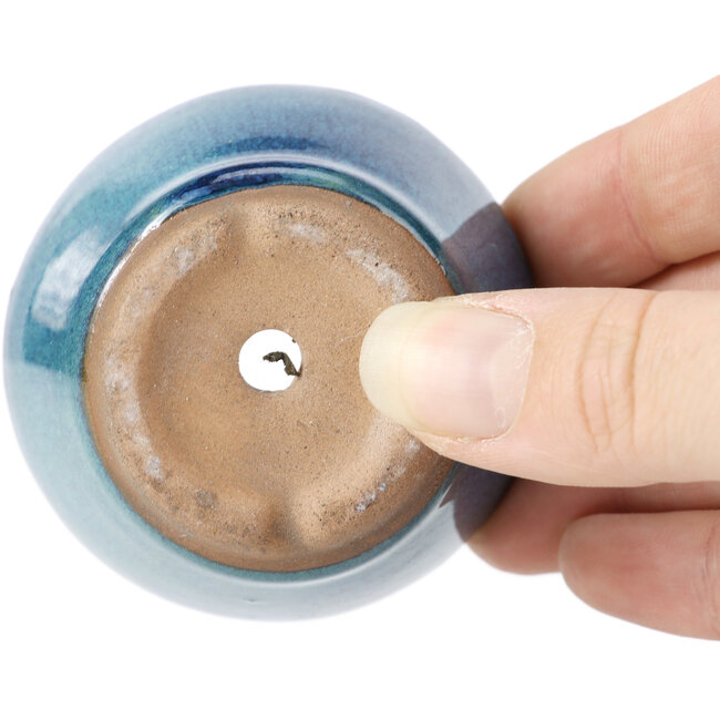 Runde blaue Bonsaischale - 62 x 62 x 40 mm