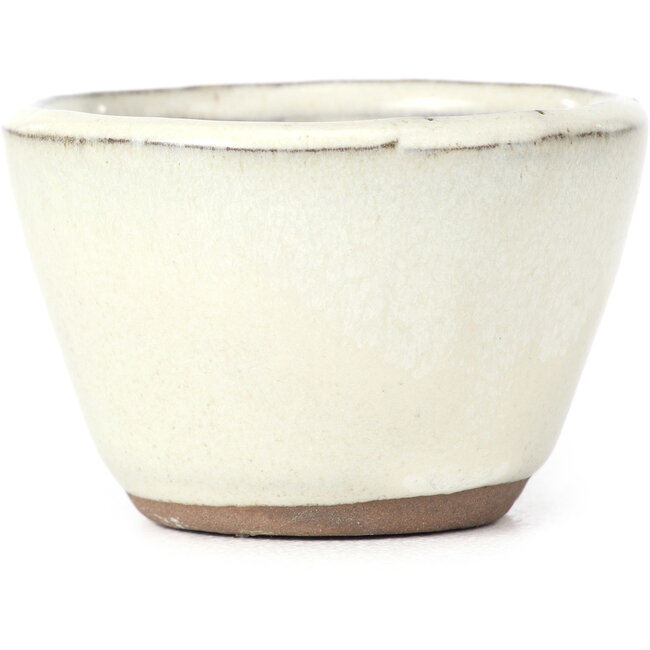 Maceta de bonsái blanca redonda - 62 x 62 x 40 mm