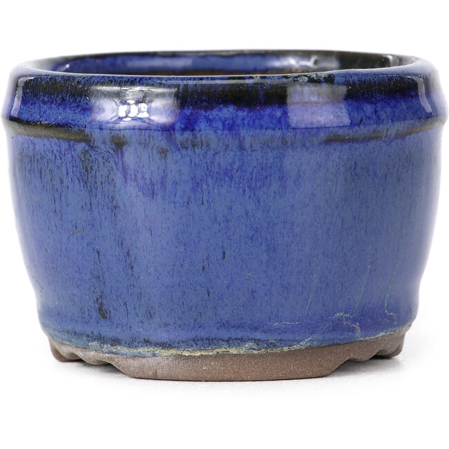 Vaso bonsai rotondo blu - 75 x 75 x 50 mm