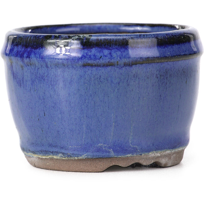 Pot à bonsaï rond bleu - 75 x 75 x 50 mm