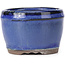 Vaso bonsai rotondo blu - 75 x 75 x 50 mm