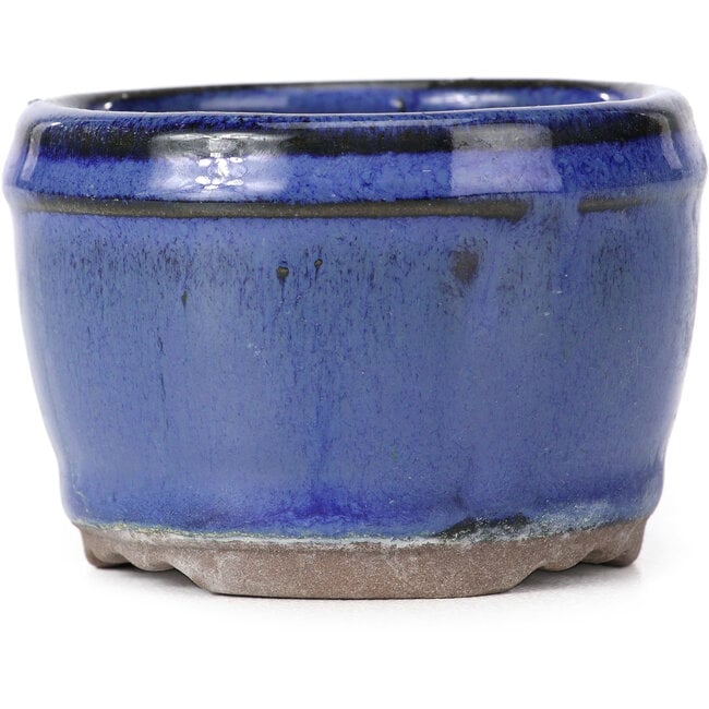 Maceta de bonsái redonda azul - 75 x 75 x 50 mm