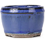 Runde blaue Bonsaischale - 75 x 75 x 50 mm