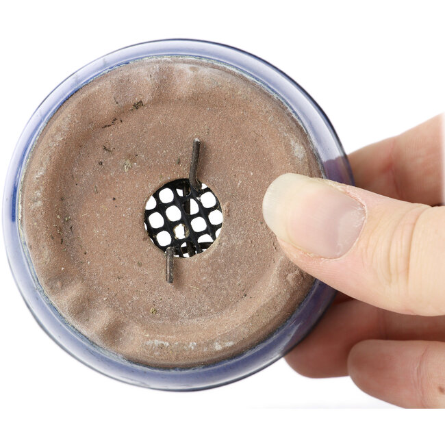 Maceta de bonsái redonda azul - 75 x 75 x 50 mm