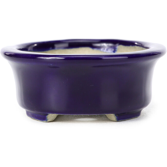 Oval blue bonsai pot by Terahata Satomi Mazan - 111 x 86 x 35 mm