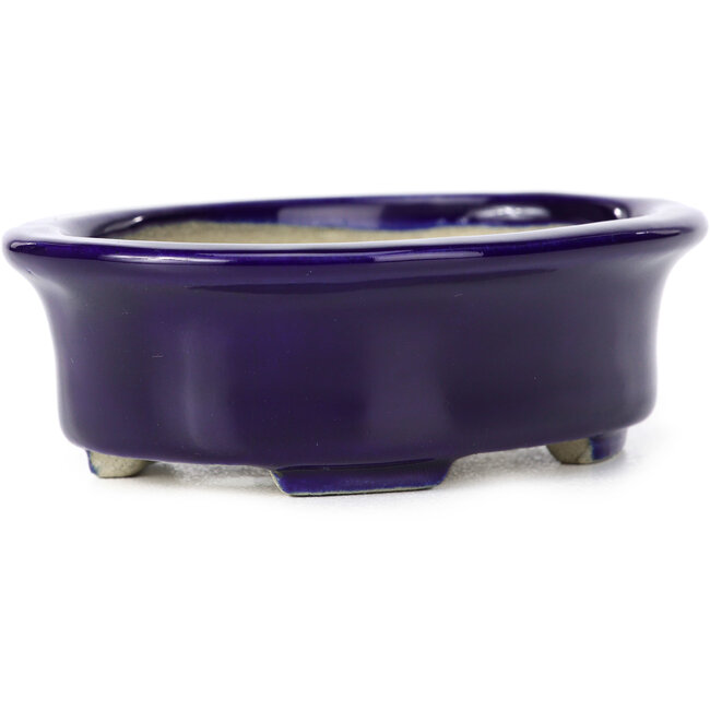 Maceta de bonsái azul ovalada de Terahata Satomi Mazan - 111 x 86 x 35 mm