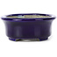 Oval blue bonsai pot by Terahata Satomi Mazan - 111 x 86 x 35 mm