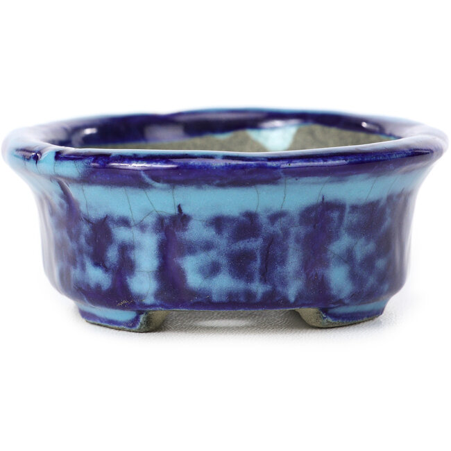 Pot à bonsaï ovale bleu par Terahata Satomi Mazan - 111 x 86 x 35 mm