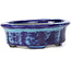 Oval blue bonsai pot by Terahata Satomi Mazan - 111 x 86 x 35 mm