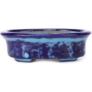  Satomi Mazan, Mazan Terahata Pot à bonsaï ovale bleu 111 mm par Terahata Satomi Mazan, Tokoname, Japon