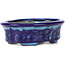 Ovale blaue Bonsaischale von Terahata Satomi Mazan - 111 x 86 x 35 mm