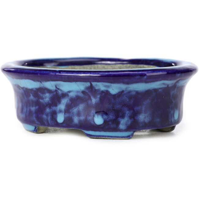 Vaso bonsai ovale blu di Terahata Satomi Mazan - 111 x 86 x 35 mm
