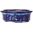 Oval blue bonsai pot by Terahata Satomi Mazan - 111 x 86 x 35 mm