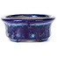 Ovale blaue Bonsaischale von Terahata Satomi Mazan - 111 x 86 x 35 mm