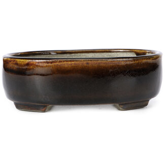 Satomi Mazan, Mazan Terahata 153 mm oval brown bonsai pot by Terahata Satomi Mazan, Tokoname, Japan