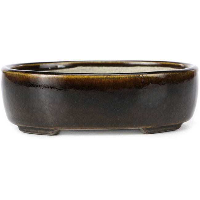 Oval brown bonsai pot by Terahata Satomi Mazan - 143 x 115 x 45 mm