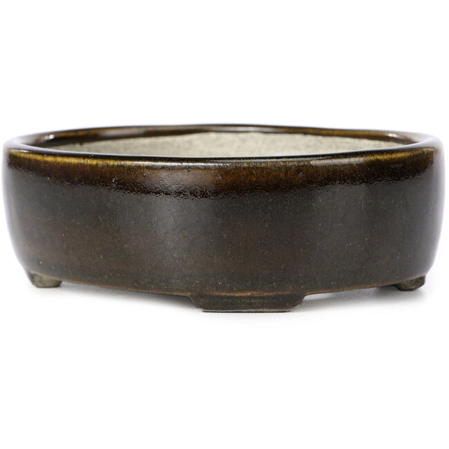 Maceta de bonsái marrón ovalada de Terahata Satomi Mazan - 143 x 115 x 45 mm