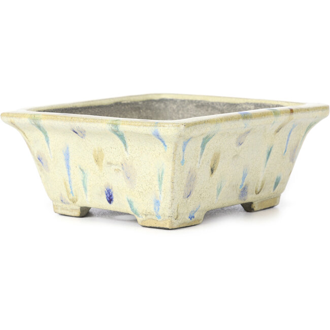 Rechteckige beige mehrfarbige Bonsaischale von Terahata Satomi Mazan - 160 x 140 x 63 mm