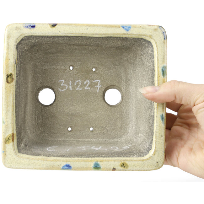 Rectangular beige multicolor bonsai pot by Terahata Satomi Mazan - 160 x 140 x 63 mm