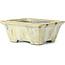 Rectangular beige multicolor bonsai pot by Terahata Satomi Mazan - 159 x 142 x 65 mm