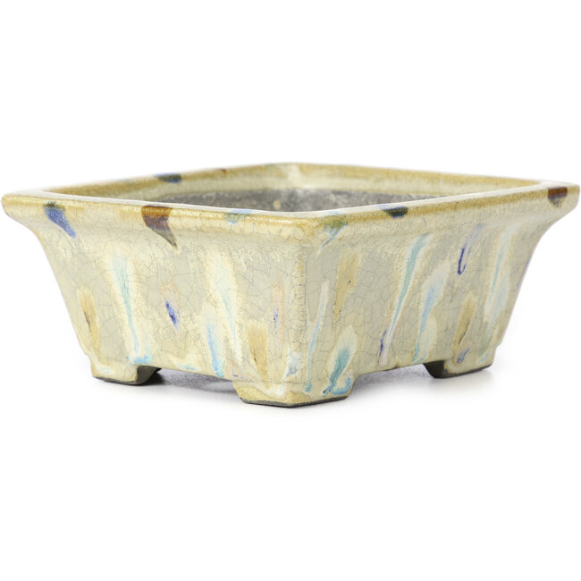 Rechteckige beige mehrfarbige Bonsaischale von Terahata Satomi Mazan - 159 x 142 x 65 mm