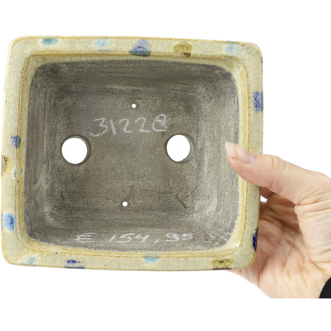 Pot à bonsaï rectangulaire beige multicolore par Terahata Satomi Mazan - 159 x 142 x 65 mm