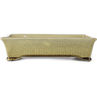  Satomi Mazan, Mazan Terahata 300 mm rechthoekige bonsaipot in beige craquelé van Terahata Satomi Mazan, Tokoname, Japan