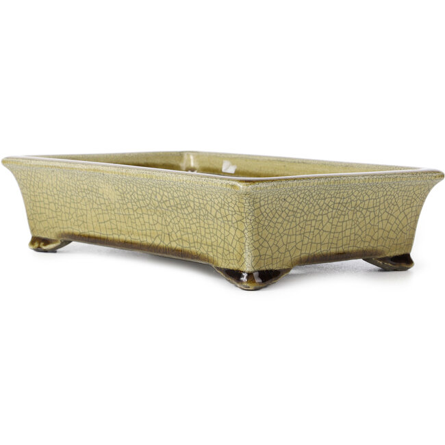 Pot à bonsaï rectangulaire beige craquelé par Terahata Satomi Mazan - 300 x 207 x 75 mm