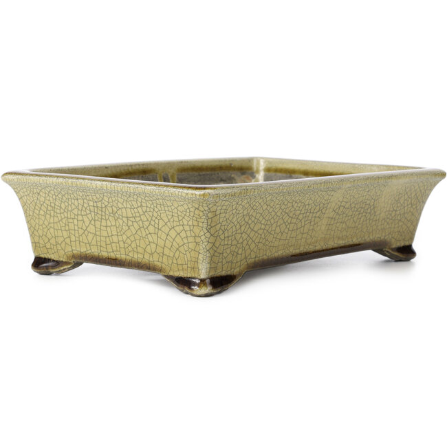 Rechteckige beige Craquelé-Bonsaischale von Terahata Satomi Mazan - 300 x 207 x 75 mm